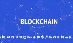 全面解析：比特币钱包i