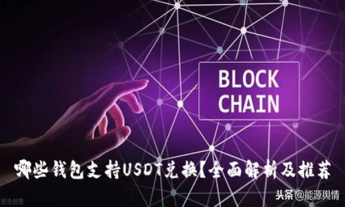 哪些钱包支持USDT兑换？全面解析及推荐