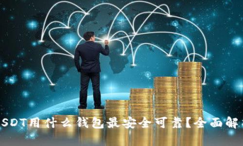 USDT用什么钱包最安全可靠？全面解析