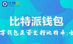 中国数字钱包是否支持比