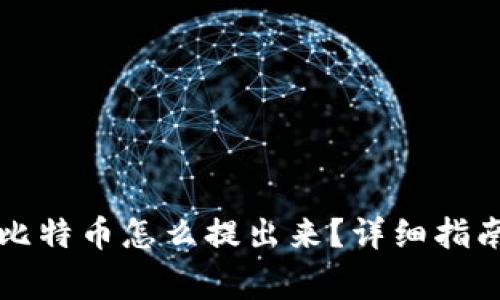 比特币钱包中的比特币怎么提出来？详细指南与常见问题解析