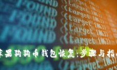 苹果狗狗币钱包恢复：步