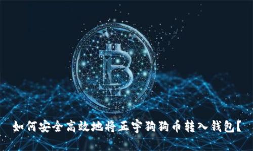 如何安全高效地将正宇狗狗币转入钱包？