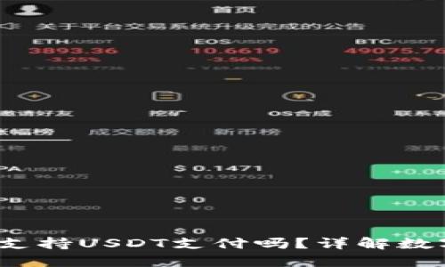  建设银行钱包支持USDT支付吗？详解数字货币使用现状