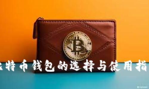 比特币钱包的选择与使用指南