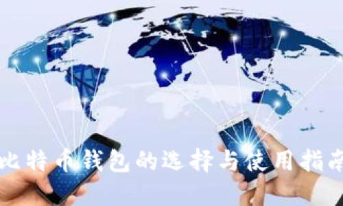 比特币钱包的选择与使用指南