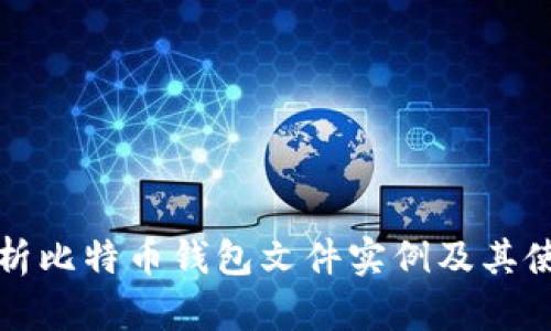 全面解析比特币钱包文件实例及其使用方法