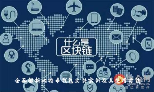 全面解析比特币钱包文件实例及其使用方法