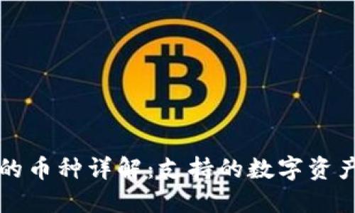 比特派钱包的币种详解：支持的数字资产和使用指南
