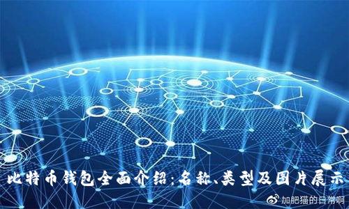 比特币钱包全面介绍：名称、类型及图片展示