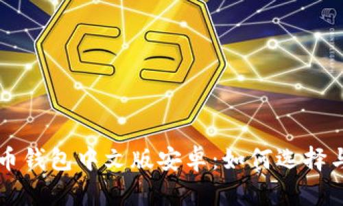 比特币钱包中文版安卓：如何选择与使用