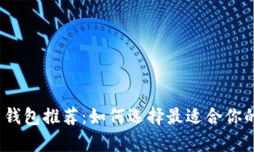 2023年主流比特币钱包推荐：如何选择最适合你的数字资产存储方案