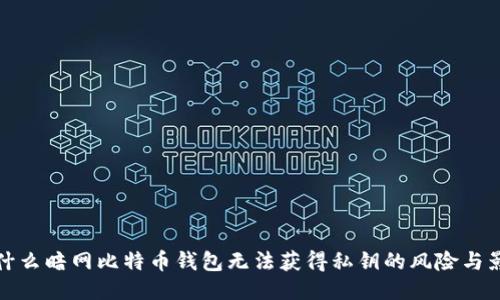 为什么暗网比特币钱包无法获得私钥的风险与影响