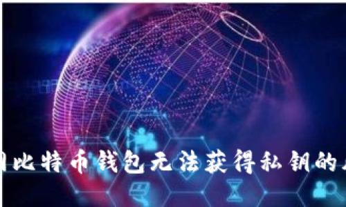 为什么暗网比特币钱包无法获得私钥的风险与影响