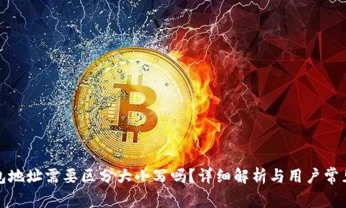 TP钱包地址需要区分大小写吗？详细解析与用户常见疑问