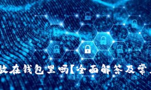 USDT可以放在钱包里吗？全面解答及常见问题解析