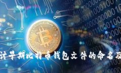 深入探讨早期比特币钱包