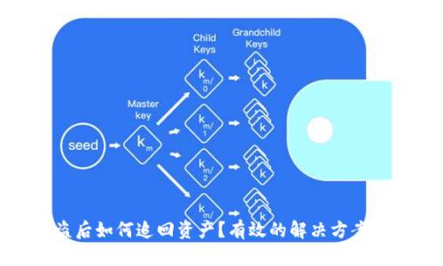 TP钱包被盗后如何追回资产？有效的解决方案与防范措施