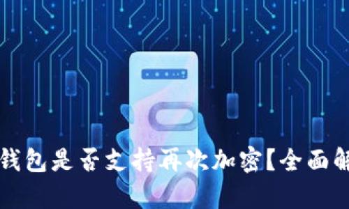 TP钱包是否支持再次加密？全面解析