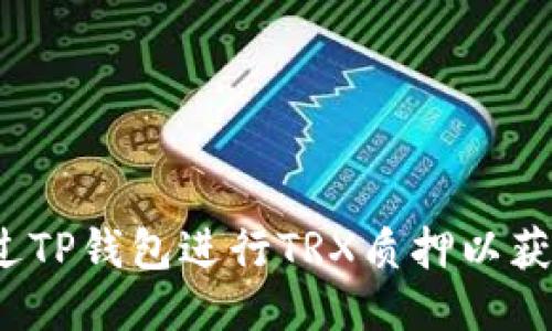 如何通过TP钱包进行TRX质押以获取能量？
