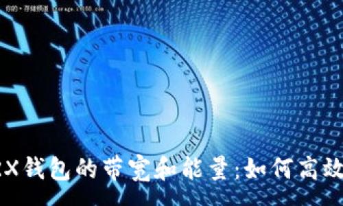 :
深入解析TRX钱包的带宽和能量：如何高效管理与使用