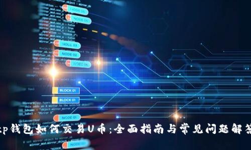 tp钱包如何交易U币：全面指南与常见问题解答