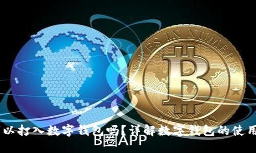 USDT可以打入数字钱包吗？详解数字钱包的使用与优劣