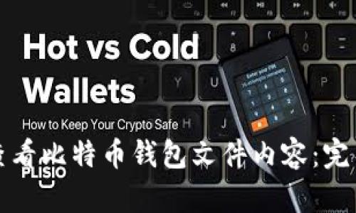 如何查看比特币钱包文件内容：完整指南