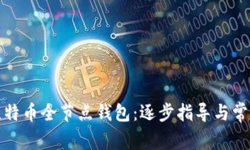 如何下载比特币全节点钱包：逐步指导与常见问题解答