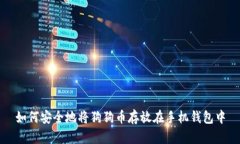 如何安全地将狗狗币存放