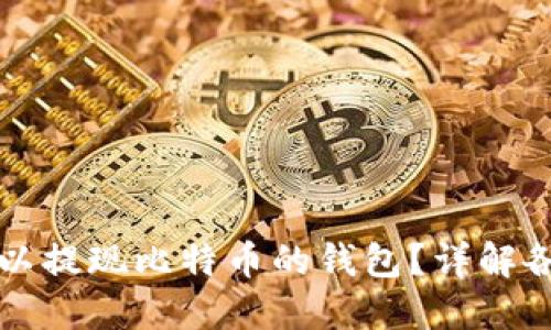 如何选择可以提现比特币的钱包？详解各种钱包类型