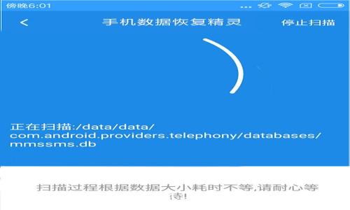 TP钱包中的新币分析：真实价值还是骗局？