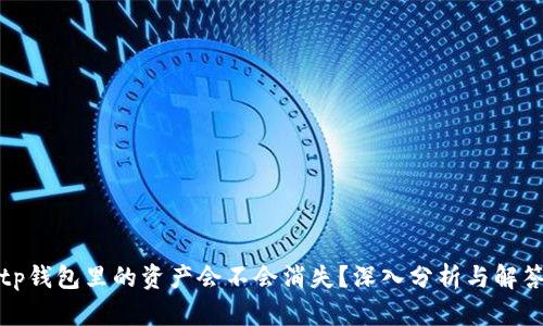 tp钱包里的资产会不会消失？深入分析与解答