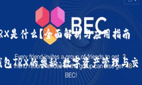 波点钱包TRX是什么？全面解析与应用指南

探索波点钱包TRX的奥秘：数字资产管理与交易必备工具
