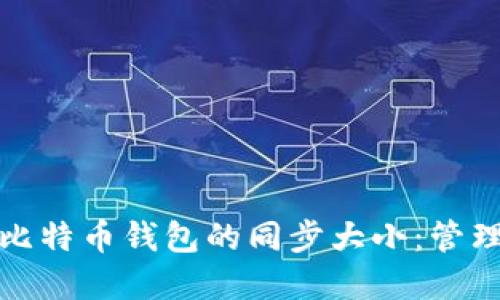 全面了解比特币钱包的同步大小：管理与安全性