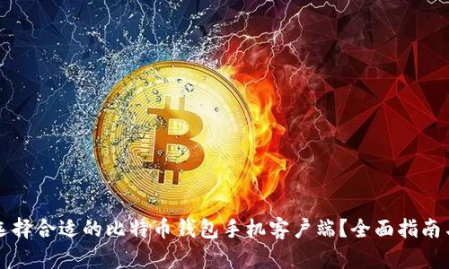 如何选择合适的比特币钱包手机客户端？全面指南与推荐