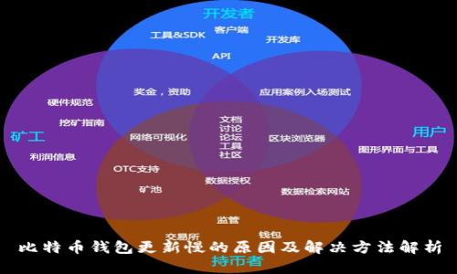比特币钱包更新慢的原因及解决方法解析