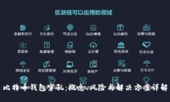比特币钱包穿孔：概念、