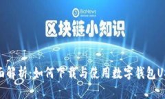 全面解析：如何下载与使