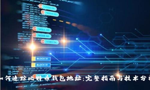 如何追踪比特币钱包地址：完整指南与技术分析