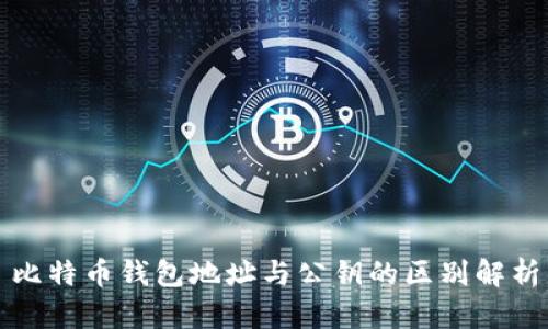 比特币钱包地址与公钥的区别解析