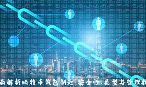 
全面解析比特币钱包钥匙：安全性、类型与管理技巧