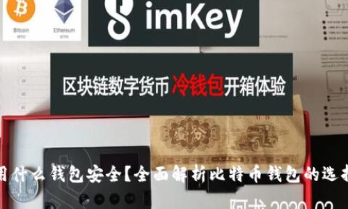 存比特币用什么钱包安全？全面解析比特币钱包的选择与安全性