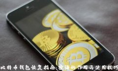 比特币钱包恢复指南：密