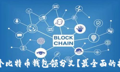   
哪个比特币钱包领分叉？最全面的指南