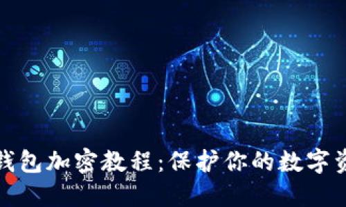 比特币钱包加密教程：保护你的数字资产安全