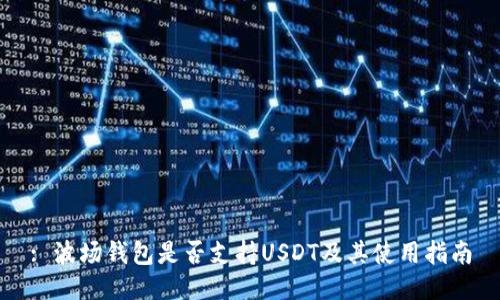 : 波场钱包是否支持USDT及其使用指南