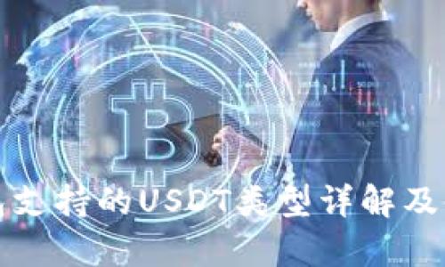 极客钱包支持的USDT类型详解及使用指南