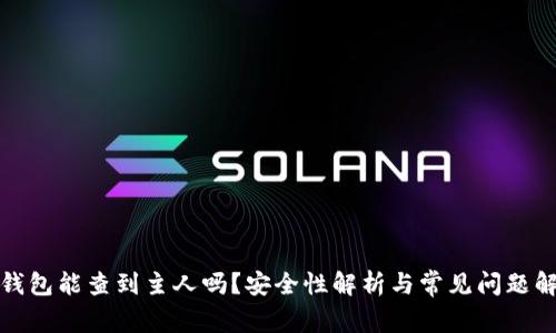 TP钱包能查到主人吗？安全性解析与常见问题解答