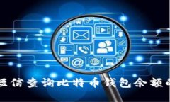 如何通过短信查询比特币